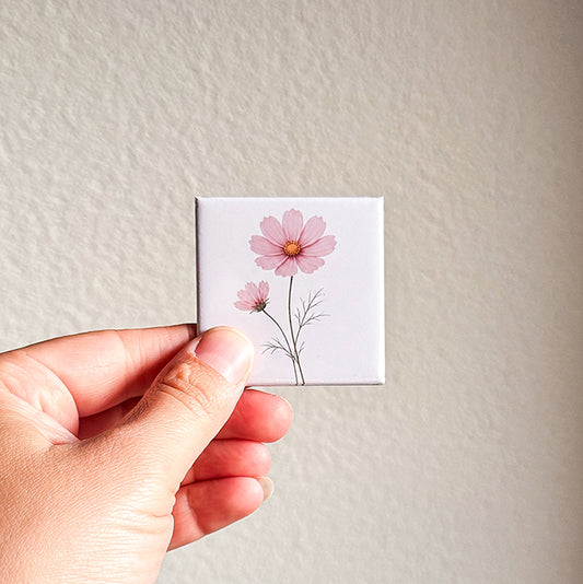 Bloem Cosmea