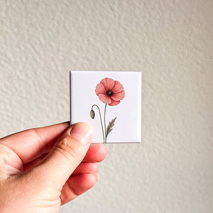 Bloem Klaproos
